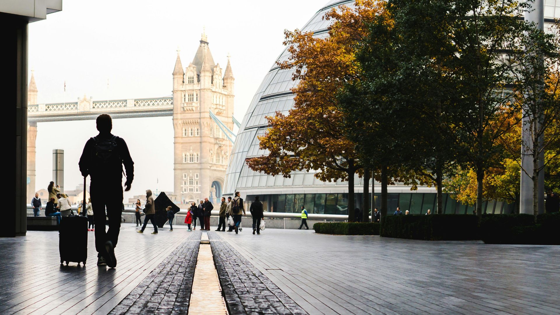 Start Your Visa Journey with Raynance Immigration